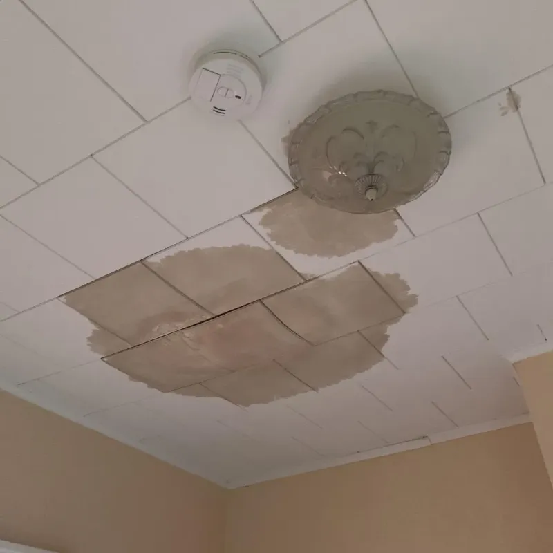 Ceiling Water Damage Repair in Willowbrook, NY